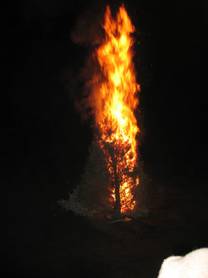 xmastreefire0001 (15k image)